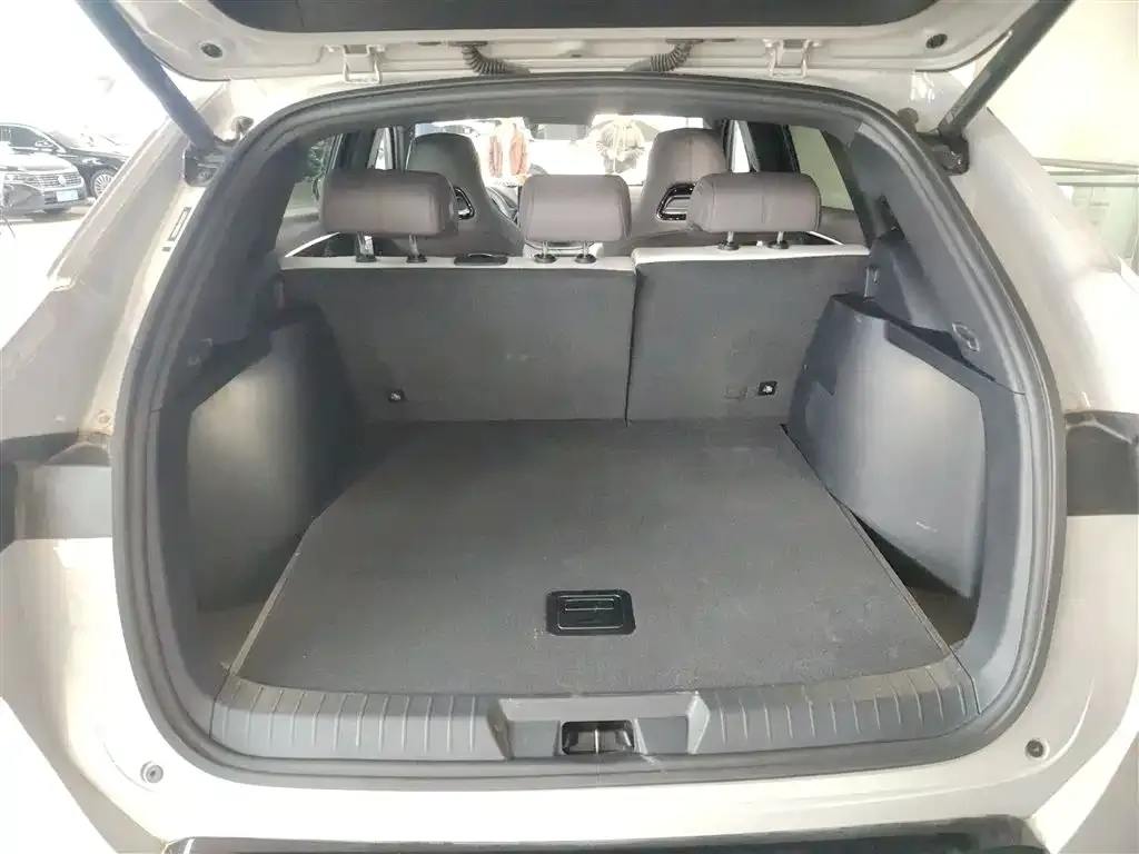 BYD PLUS New Energy 2025 из CN, фото 9