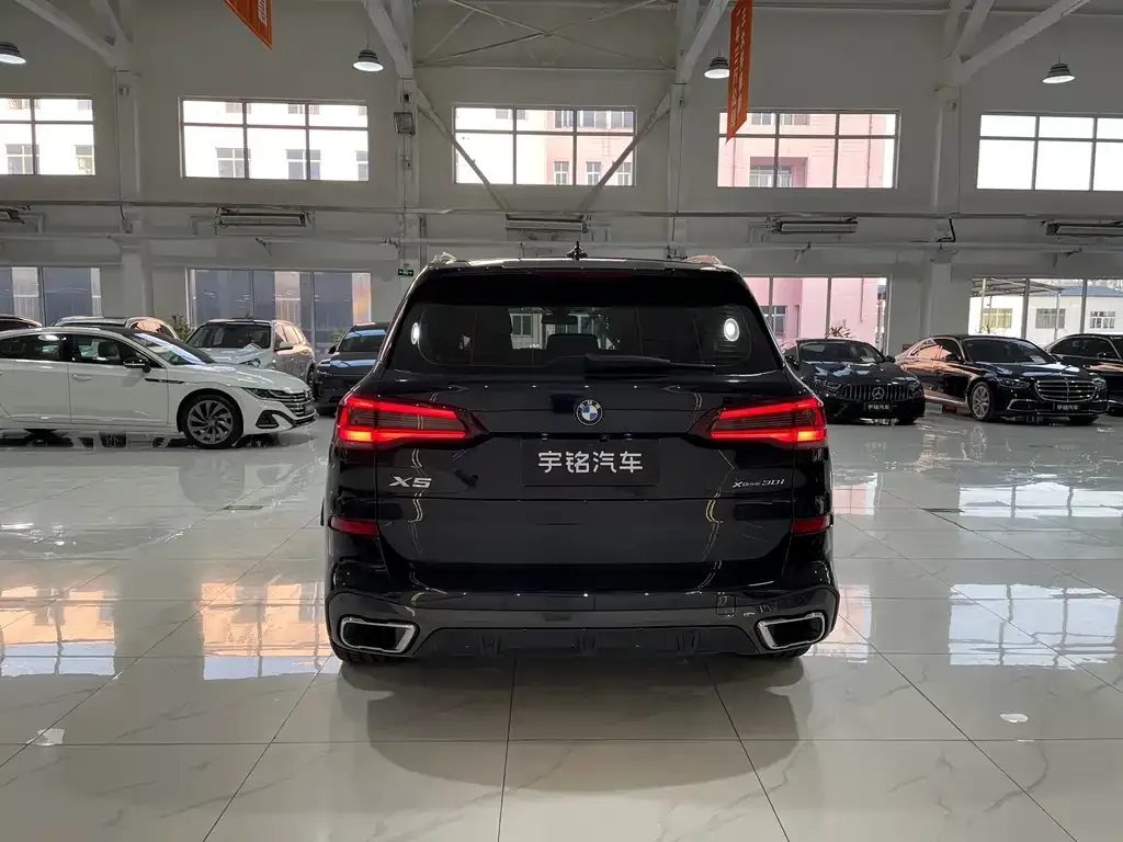 BMW X5 (Import) 2021 из CN, фото 3