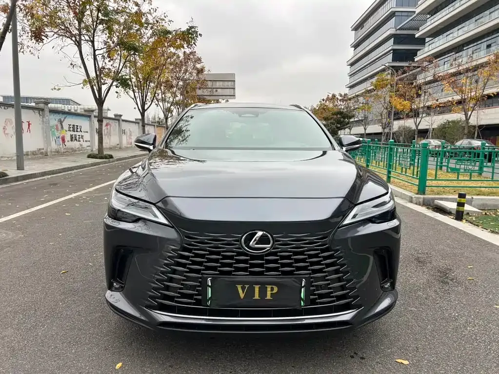 Lexus RX New Energy 2023 из CN, фото 7