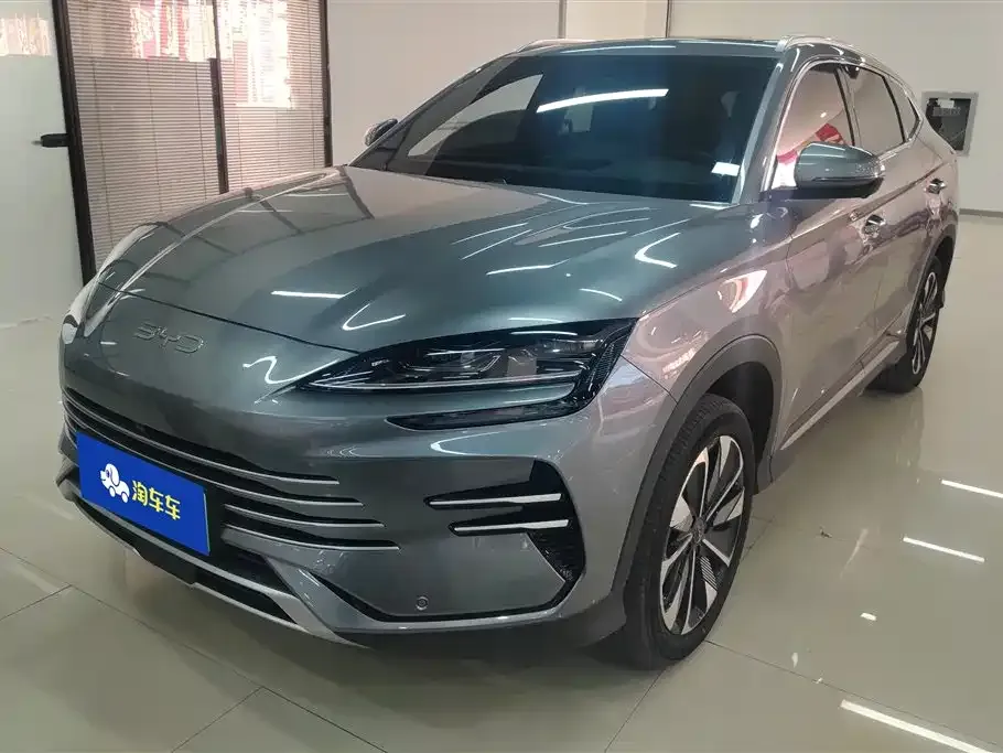 BYD PLUS New Energy 2024 из CN, фото 1