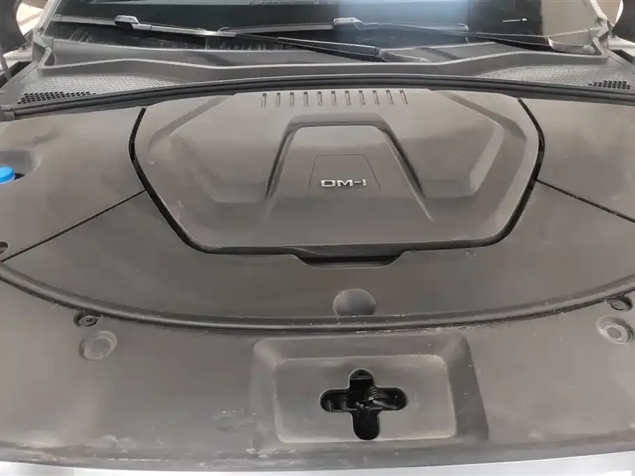 BYD PLUS New Energy 2024 из CN, фото 6