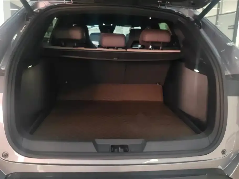 BYD PLUS New Energy 2024 из CN, фото 7