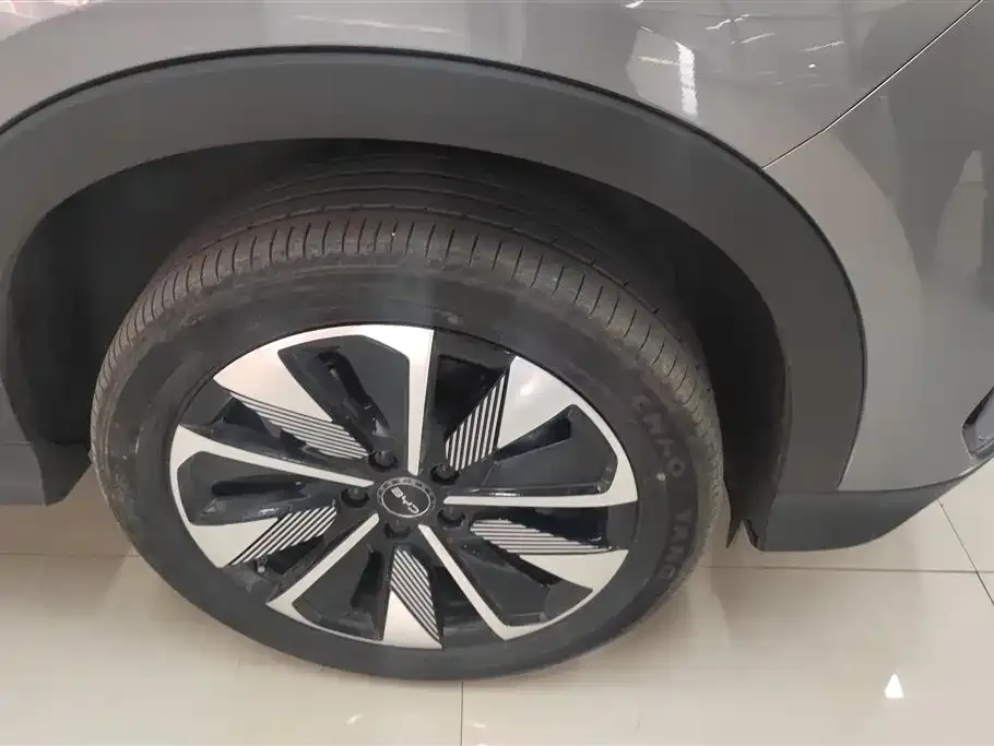 BYD PLUS New Energy 2024 из CN, фото 2