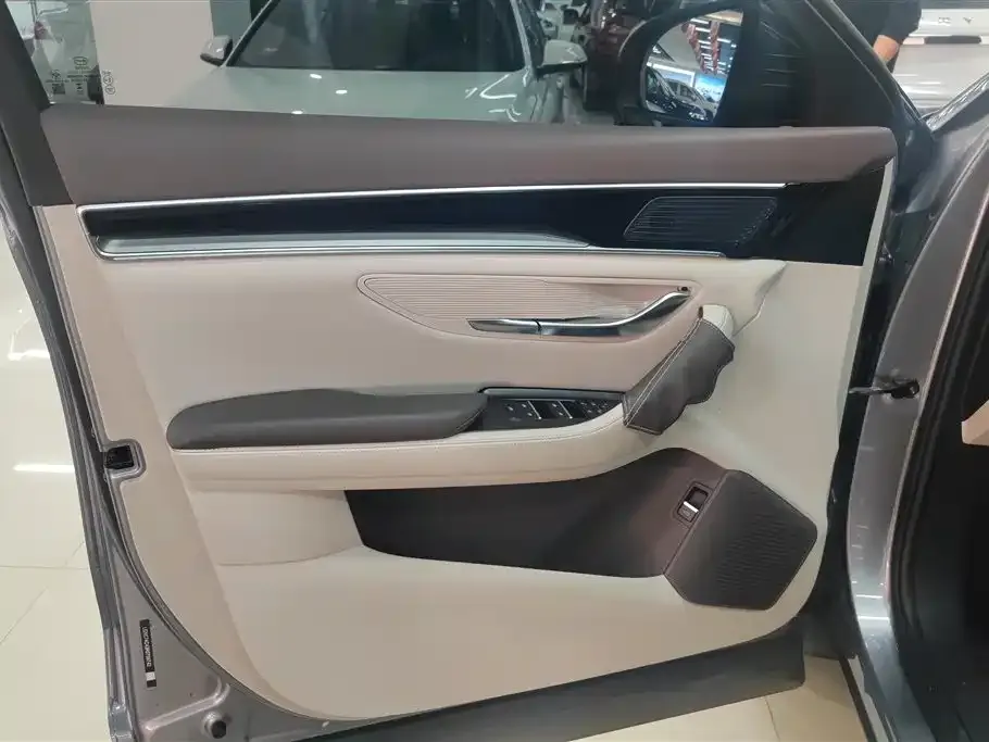BYD PLUS New Energy 2024 из CN, фото 3