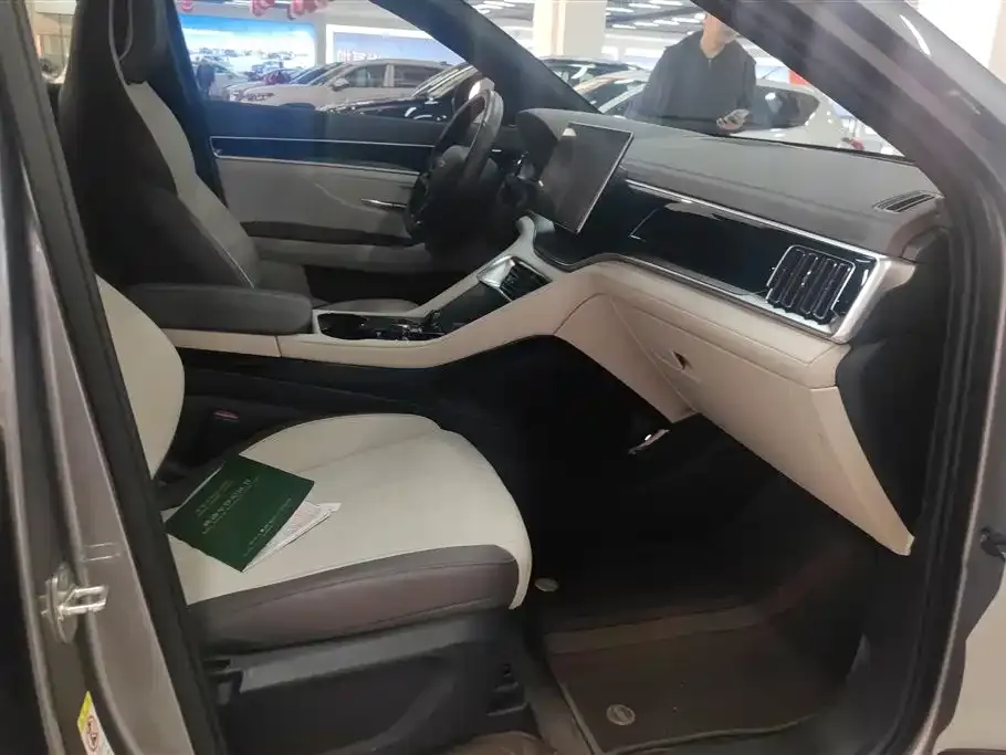 BYD PLUS New Energy 2024 из CN, фото 4