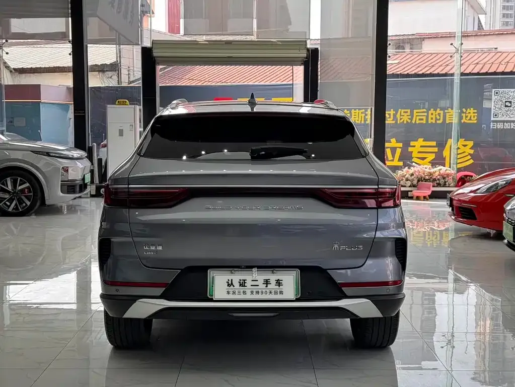 BYD PLUS New Energy 2022 из CN, фото 3