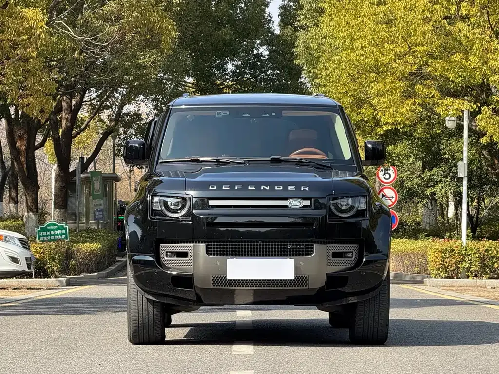 Land Rover Defender — фото 8