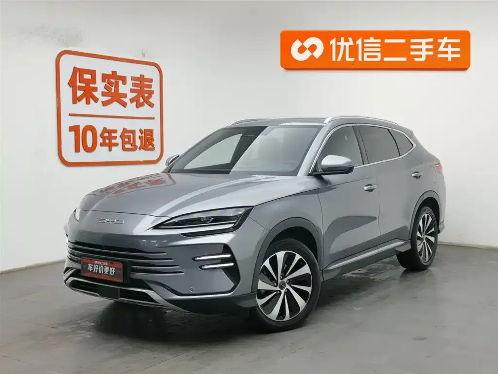 BYD PLUS New Energy 2024 из CN, фото 1