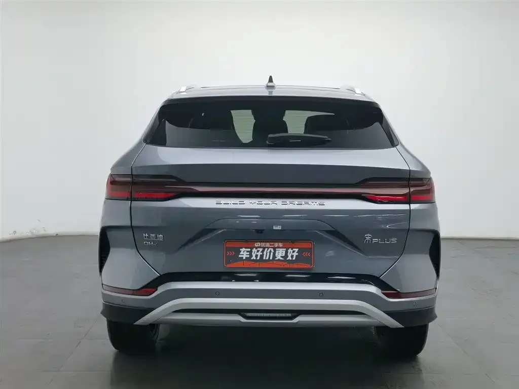 BYD PLUS New Energy 2024 из CN, фото 2