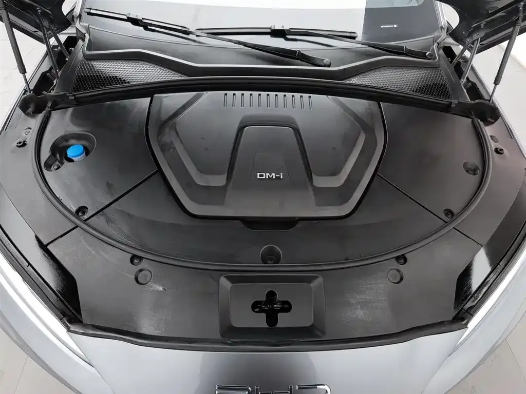 BYD PLUS New Energy 2024 из CN, фото 10