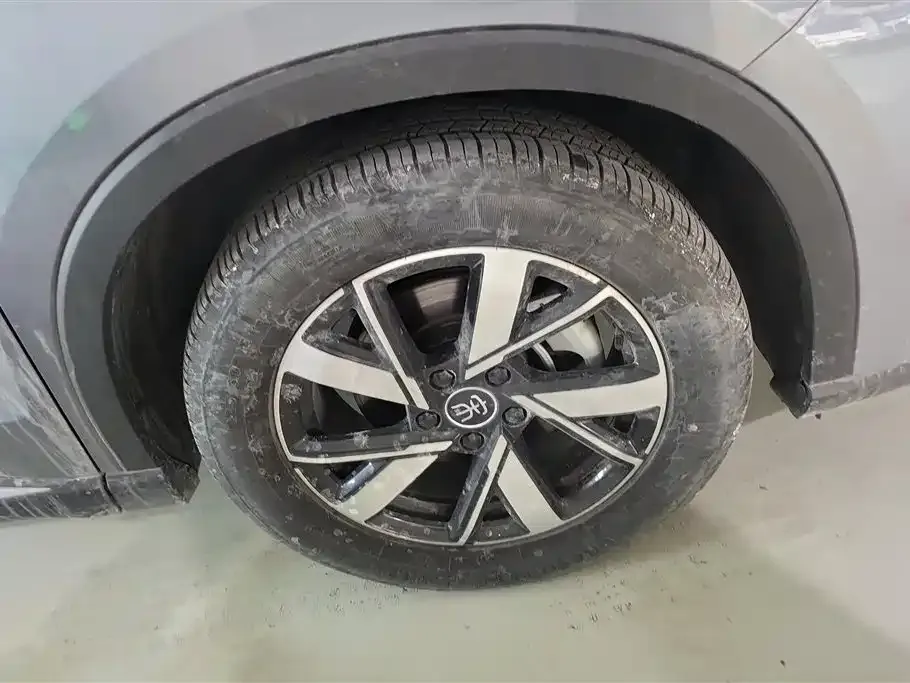 BYD Pro New Energy 2023 из CN, фото 7