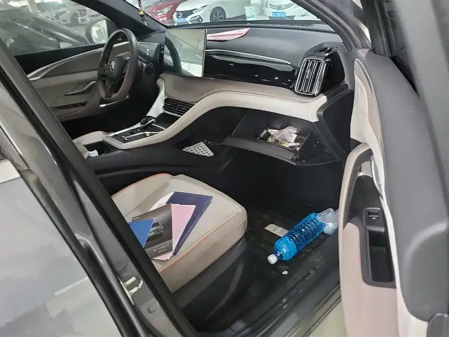BYD Pro New Energy 2023 из CN, фото 9