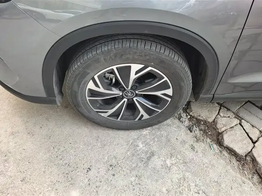 BYD Pro New Energy 2025 из CN, фото 9