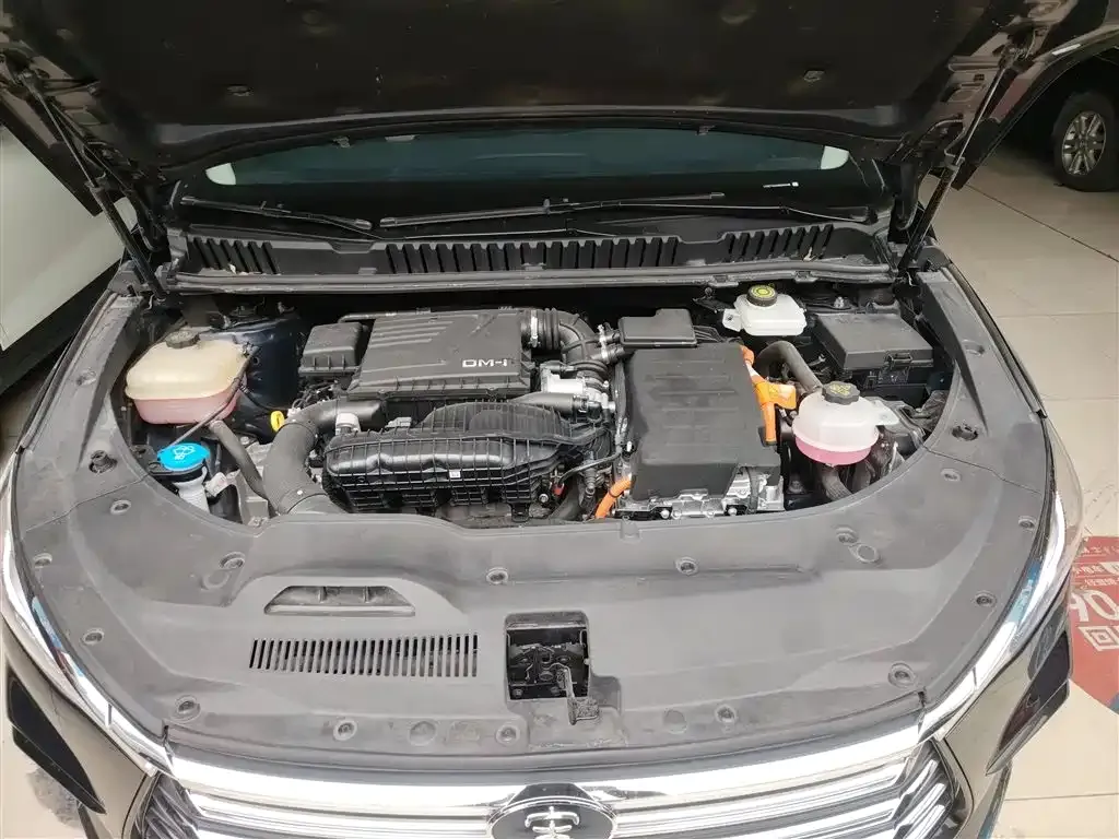 BYD MAX New Energy 2023 из CN, фото 7