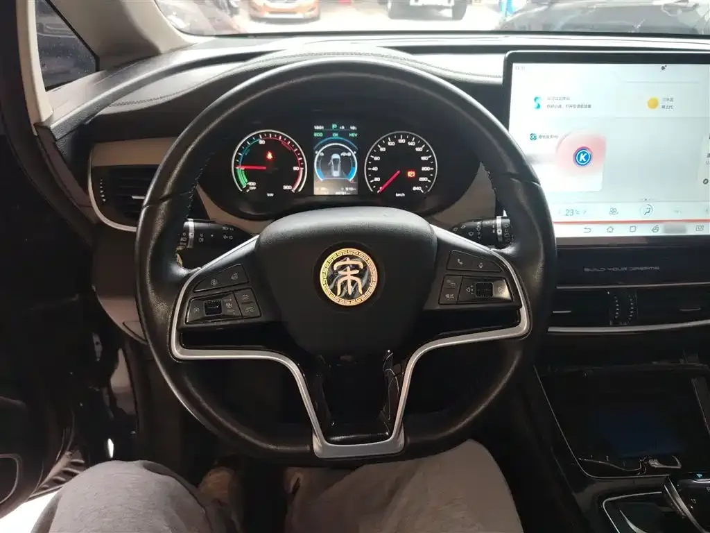 BYD MAX New Energy 2023 из CN, фото 10