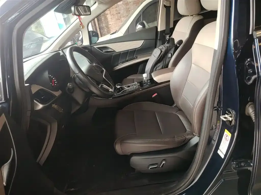 BYD MAX New Energy 2023 из CN, фото 5
