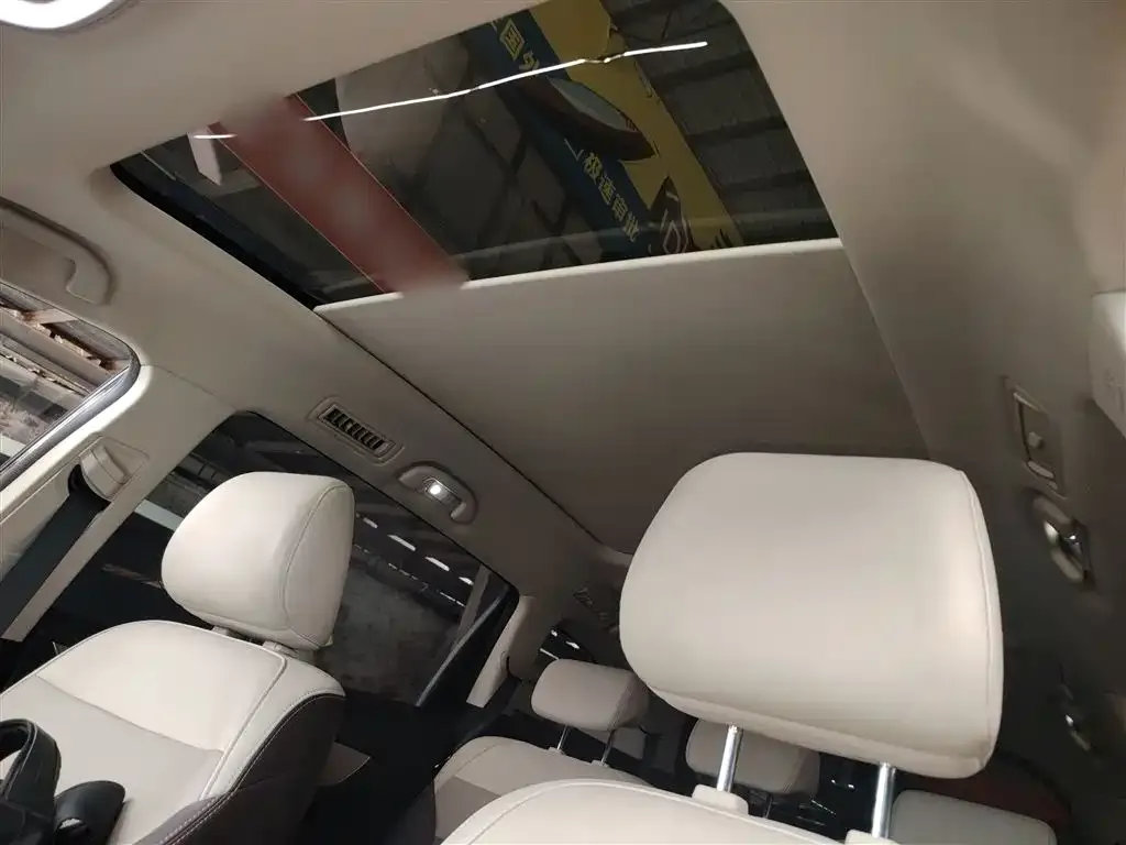 BYD MAX New Energy 2023 из CN, фото 3