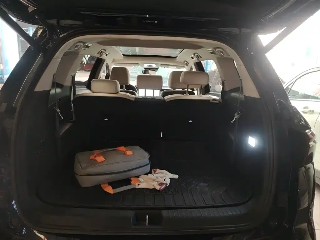 BYD MAX New Energy 2023 из CN, фото 6