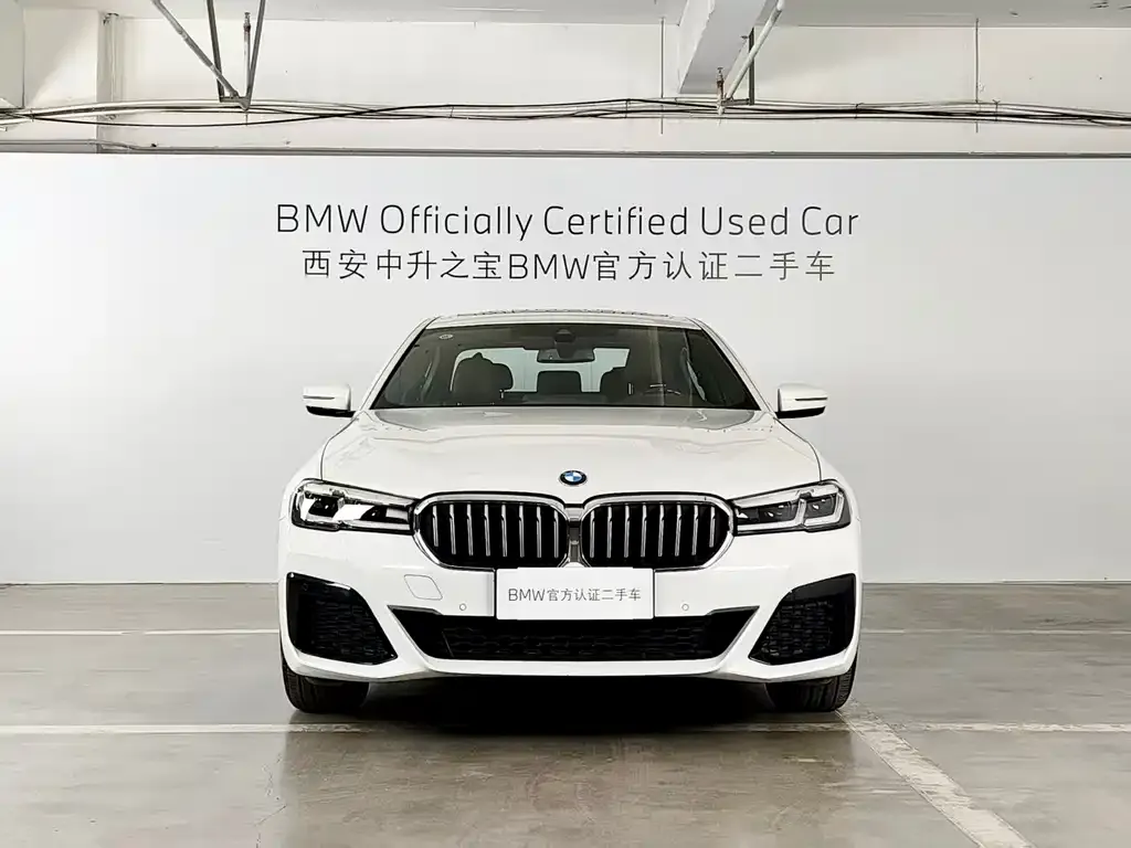 BMW 5 Series 2023 из CN, фото 10