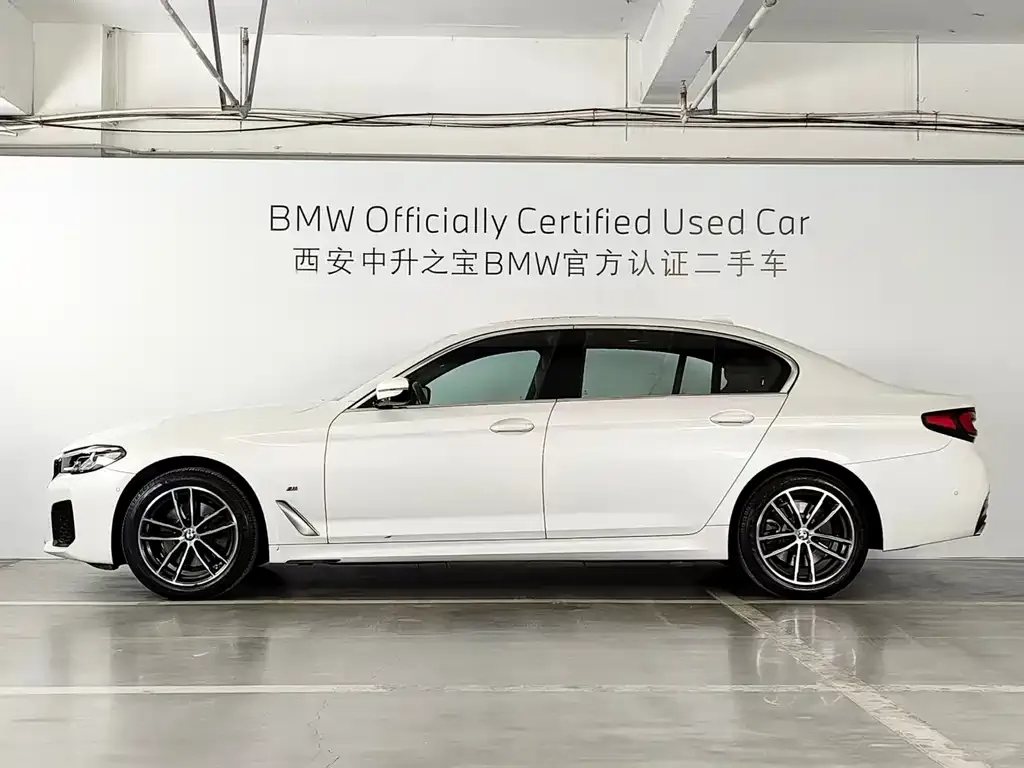 BMW 5 Series 2023 из CN, фото 2