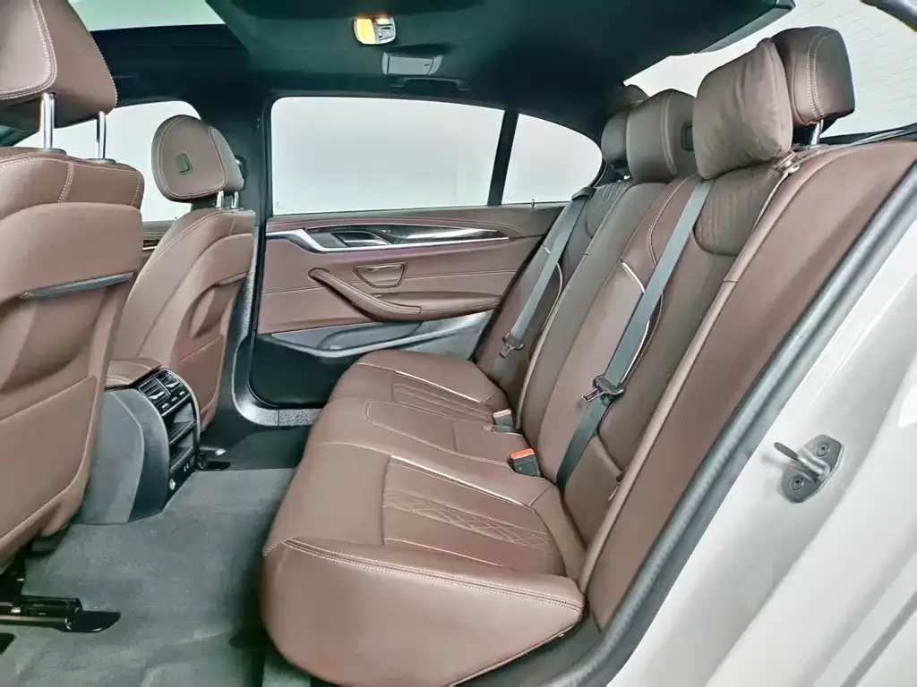 BMW 5 Series 2023 из CN, фото 6