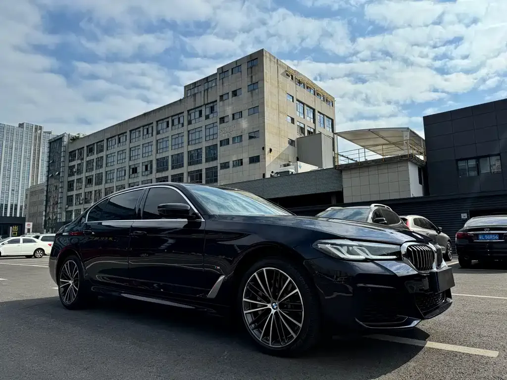 BMW 5 Series 2022 из CN, фото 7