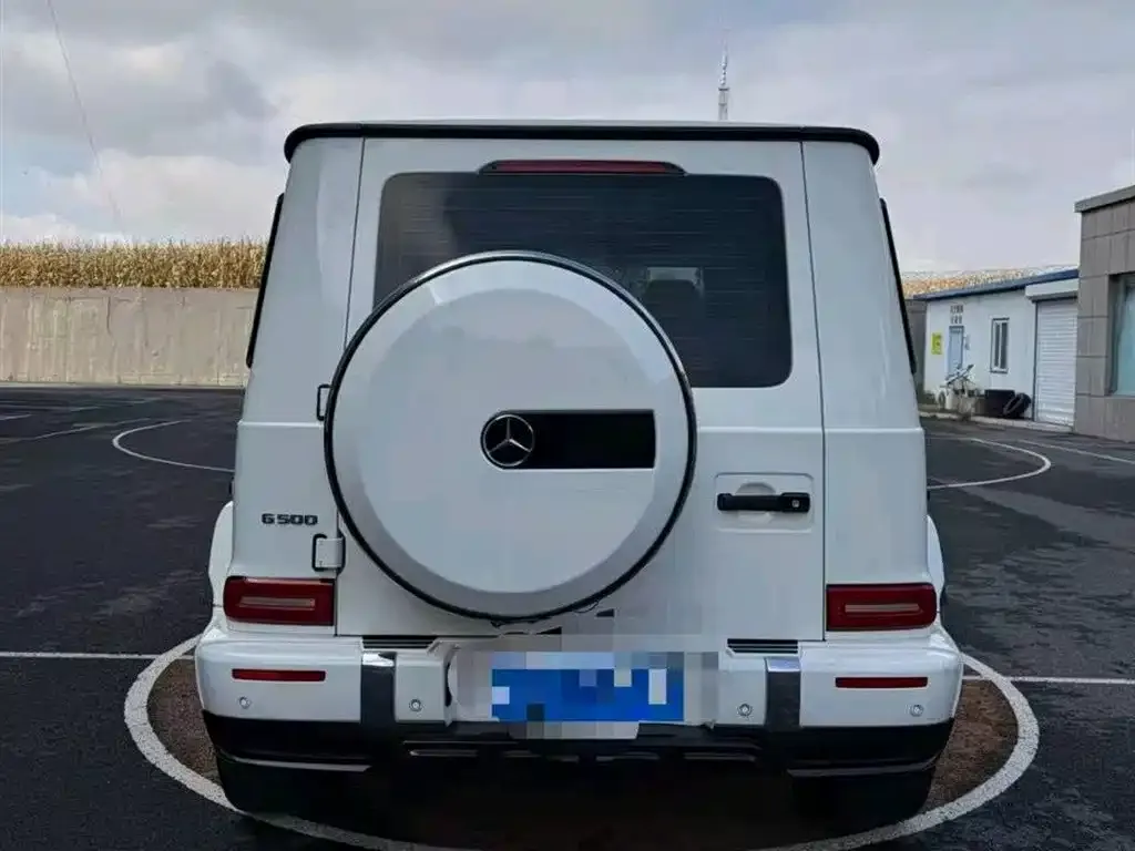 Mercedes-Benz G-Class 2023 из CN, фото 3
