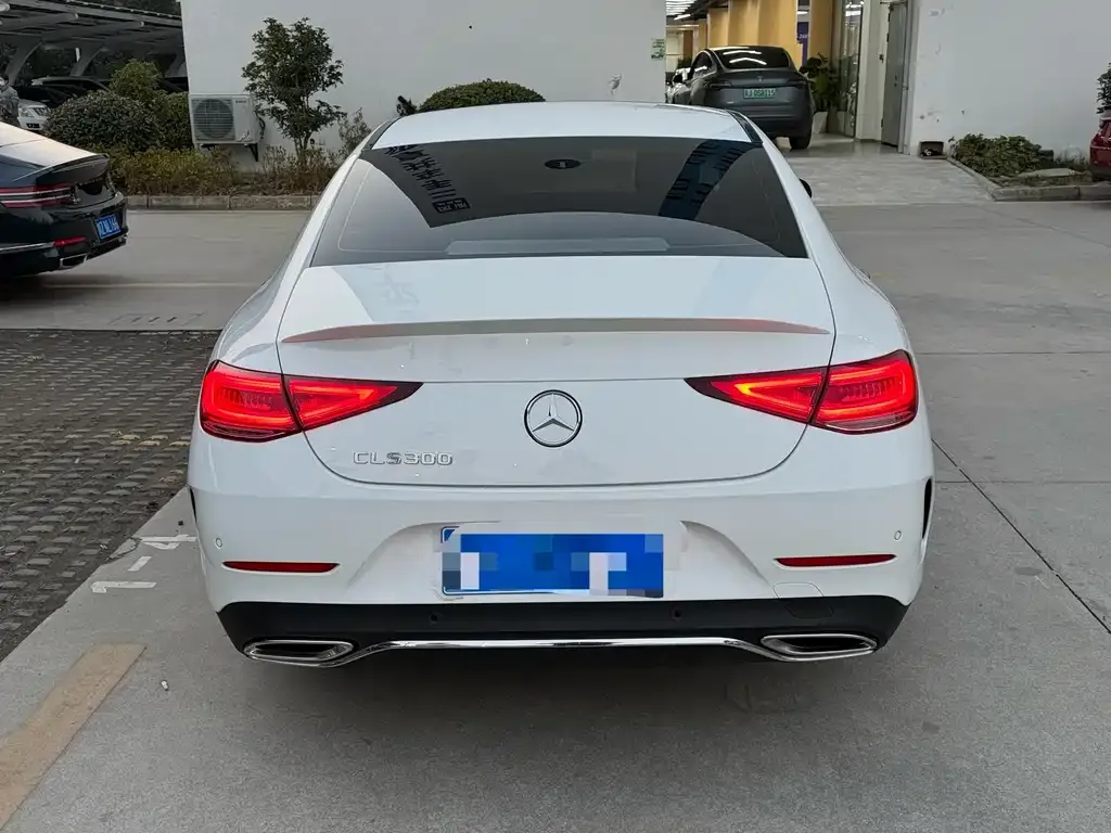 Mercedes-Benz CLS 2022 из CN, фото 9