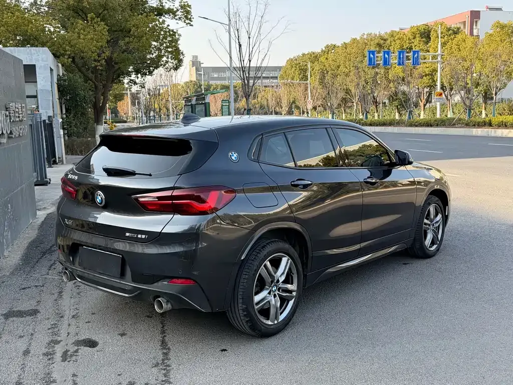 BMW X2 2023 из CN, фото 8