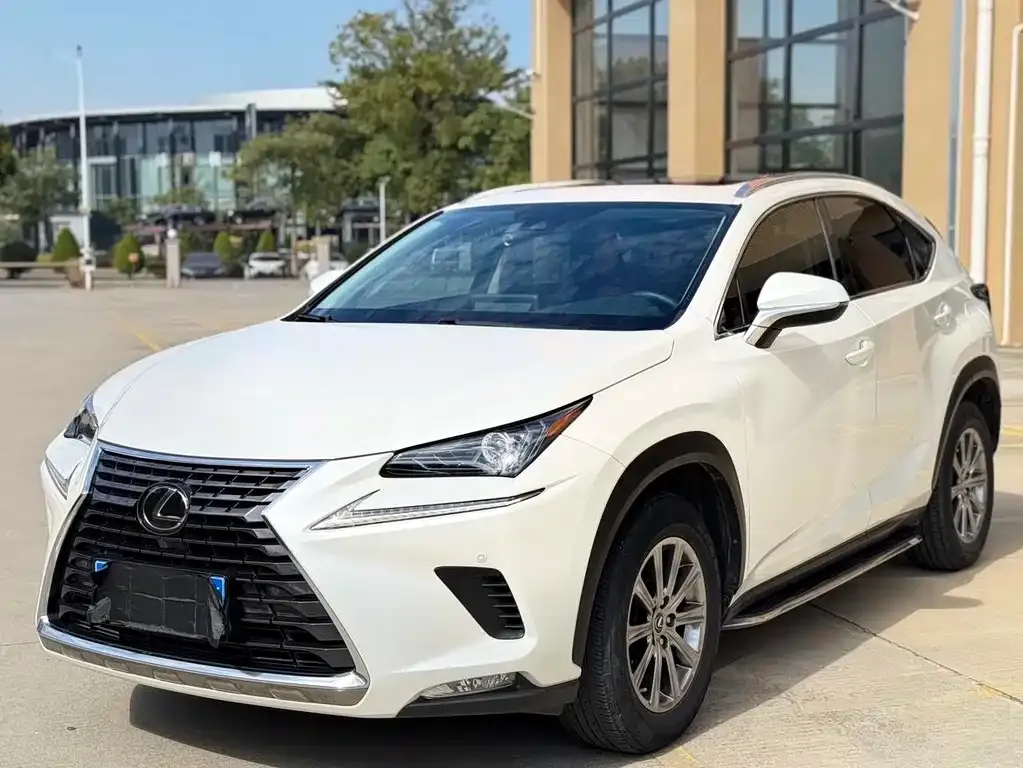 Lexus NX 2021 из CN, фото 1