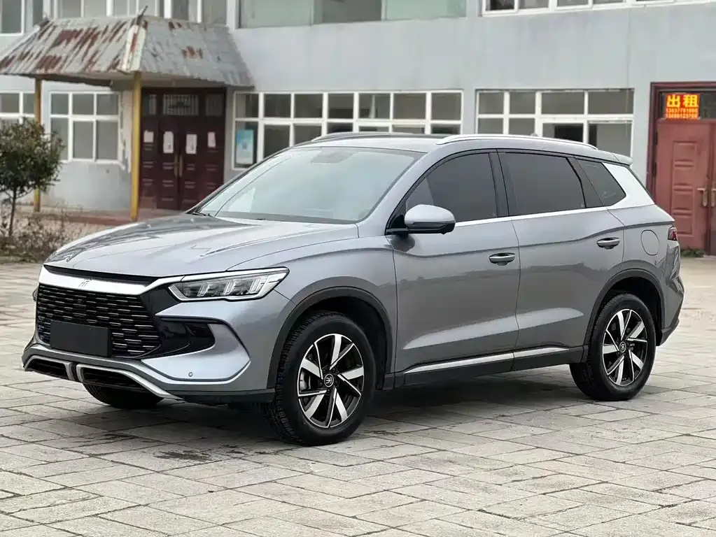 BYD Pro New Energy 2024 из CN, фото 1