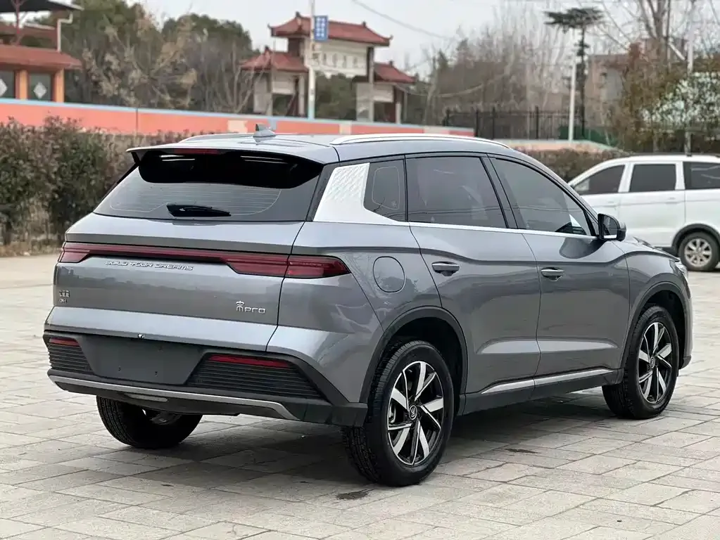 BYD Pro New Energy 2024 из CN, фото 2