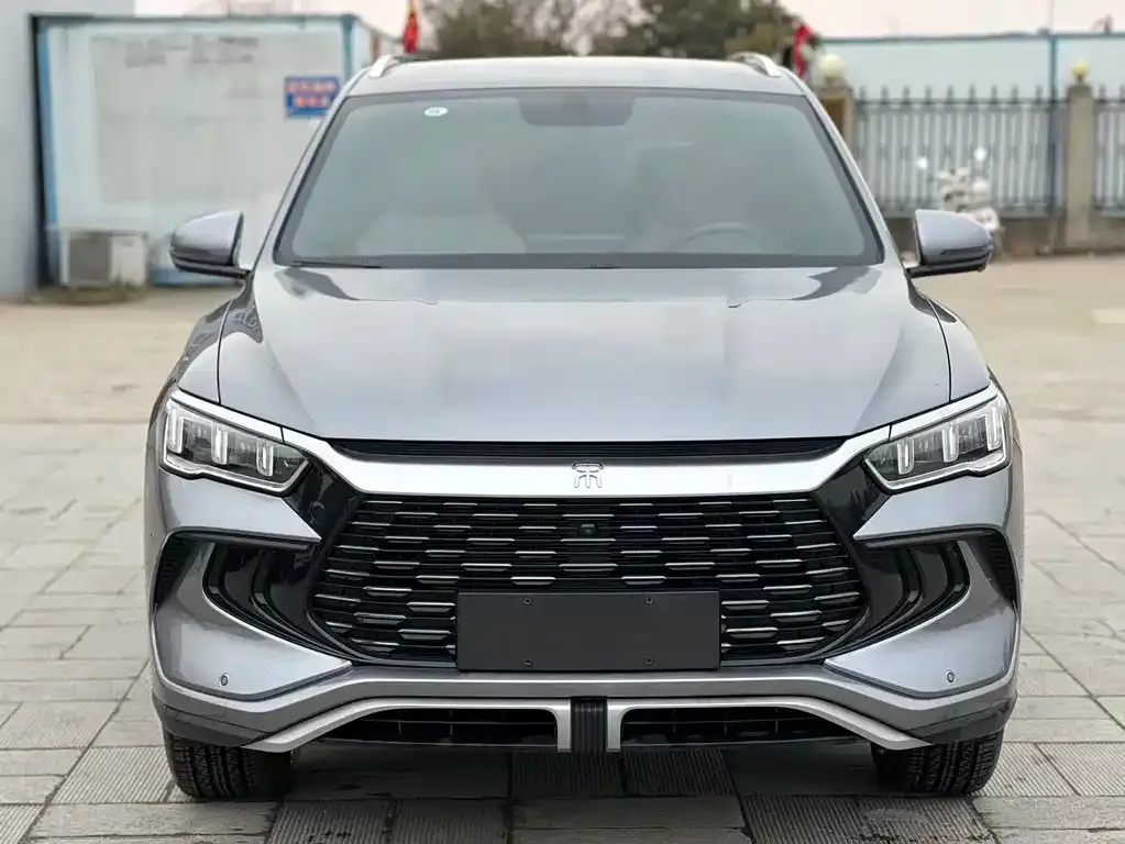 BYD Pro New Energy 2024 из CN, фото 5
