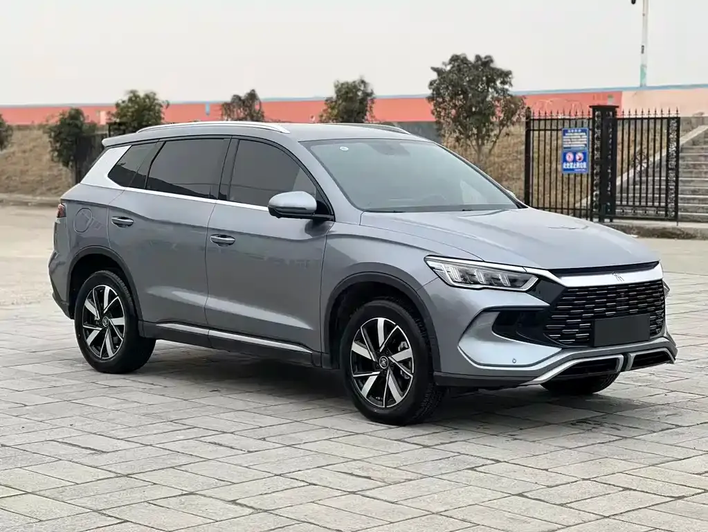 BYD Pro New Energy 2024 из CN, фото 10