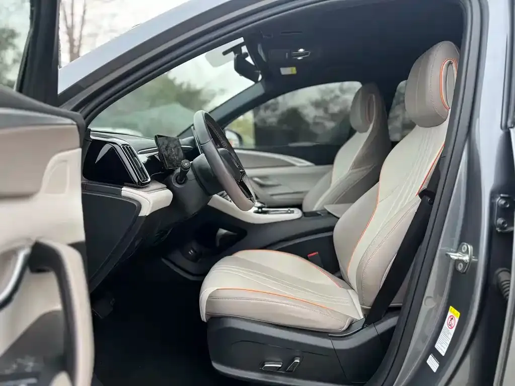 BYD Pro New Energy 2024 из CN, фото 7