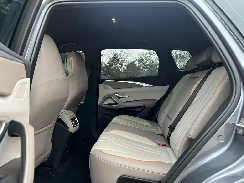 BYD Pro New Energy 2024 из CN, фото 4