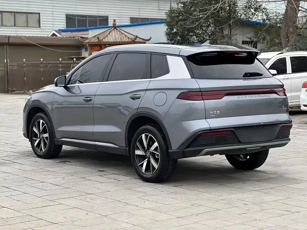 BYD Pro New Energy 2024 из CN, фото 9