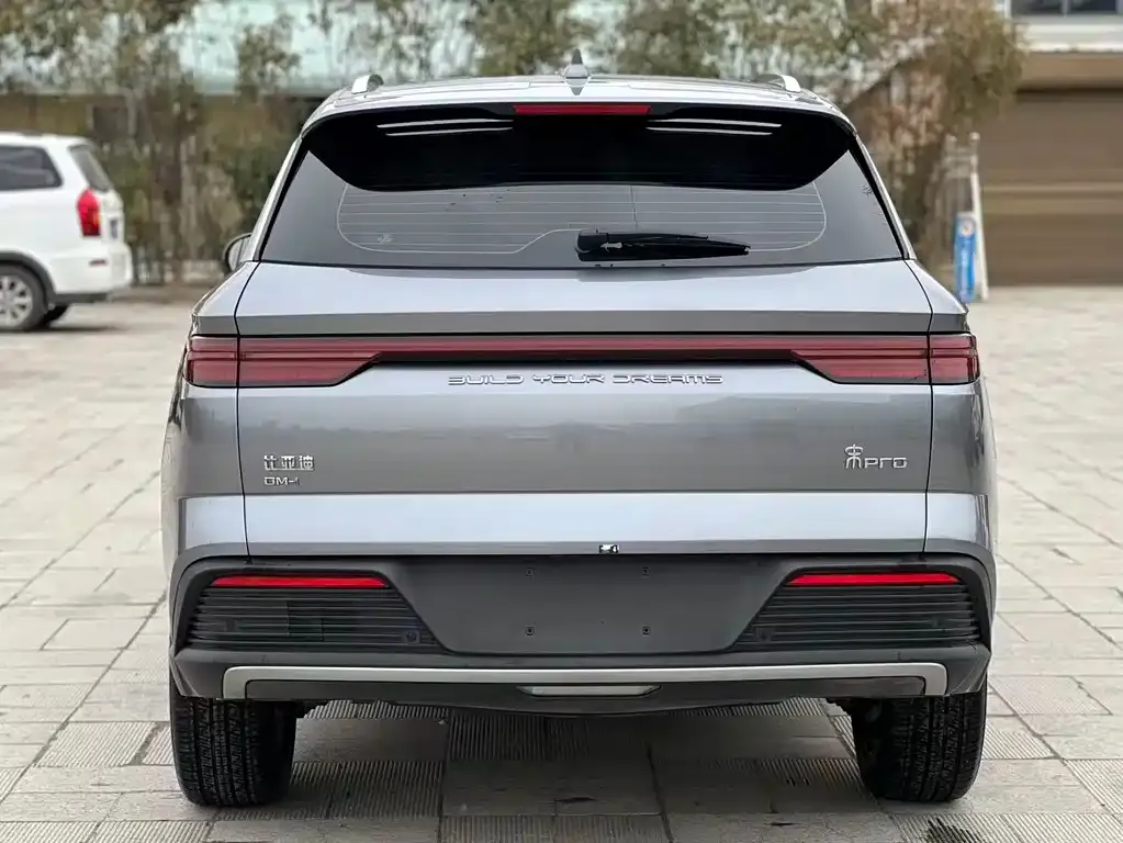 BYD Pro New Energy 2024 из CN, фото 6