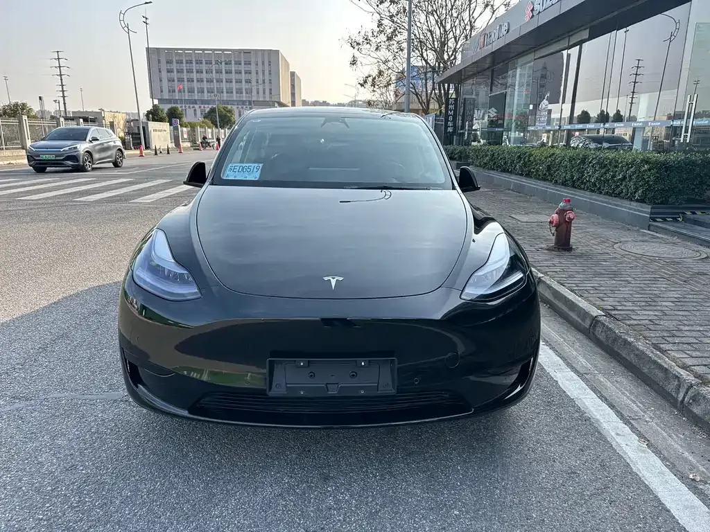 Tesla Model Y — фото 8