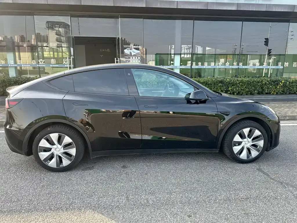 Tesla Model Y — фото 10