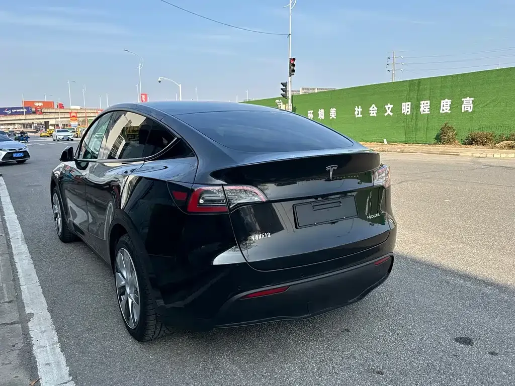 Tesla Model Y — фото 6