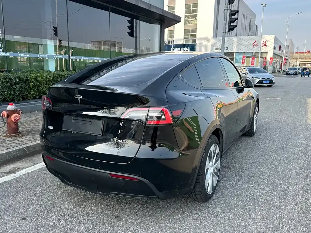 Tesla Model Y — фото 9