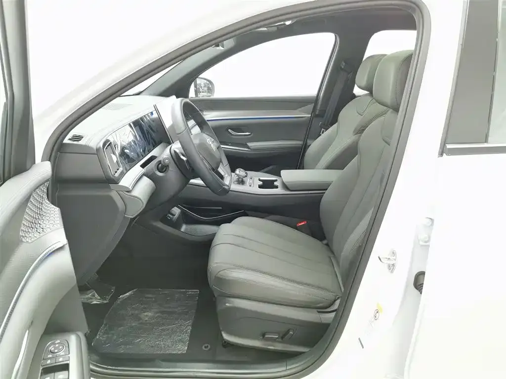 BYD Pro New Energy 2025 из CN, фото 5