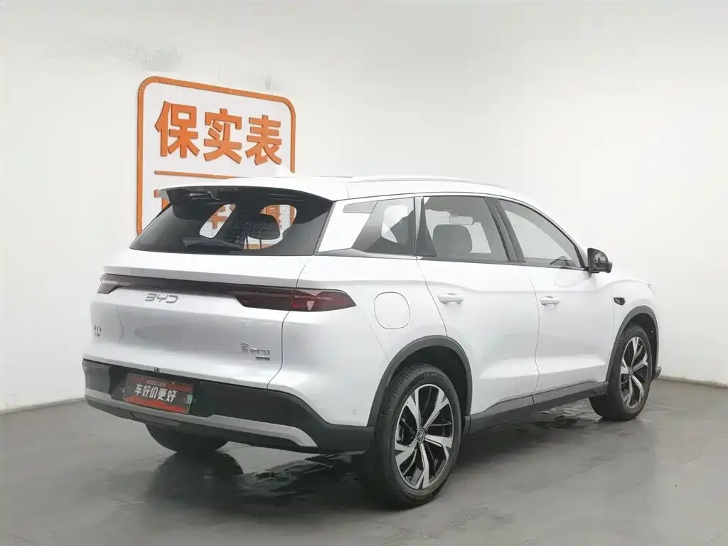 BYD Pro New Energy 2025 из CN, фото 3