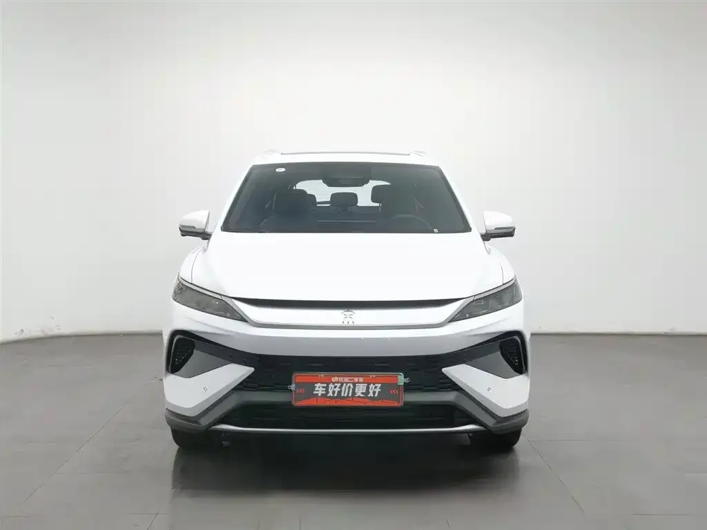 BYD Pro New Energy 2025 из CN, фото 6