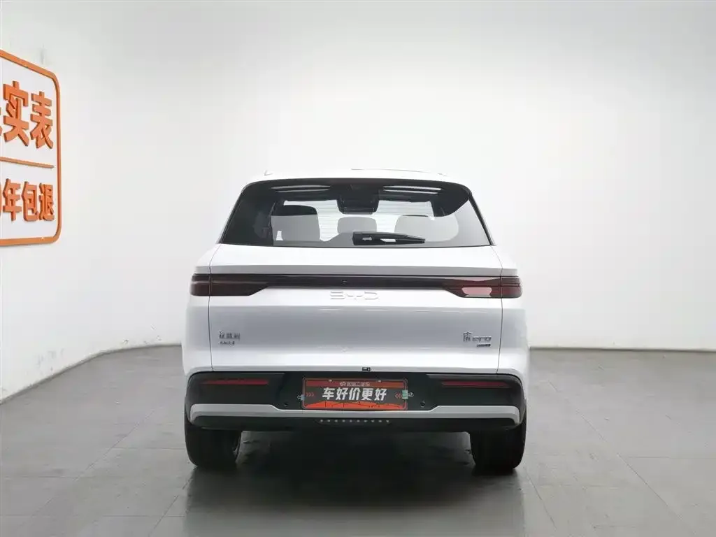 BYD Pro New Energy 2025 из CN, фото 7