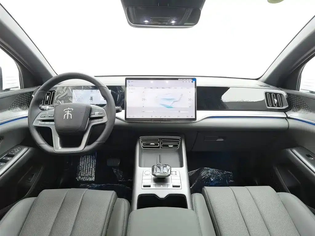 BYD Pro New Energy 2025 из CN, фото 9