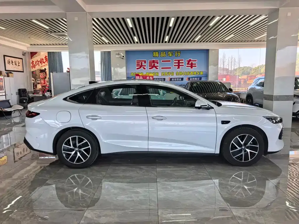 BYD Qin L 2025 из CN, фото 10