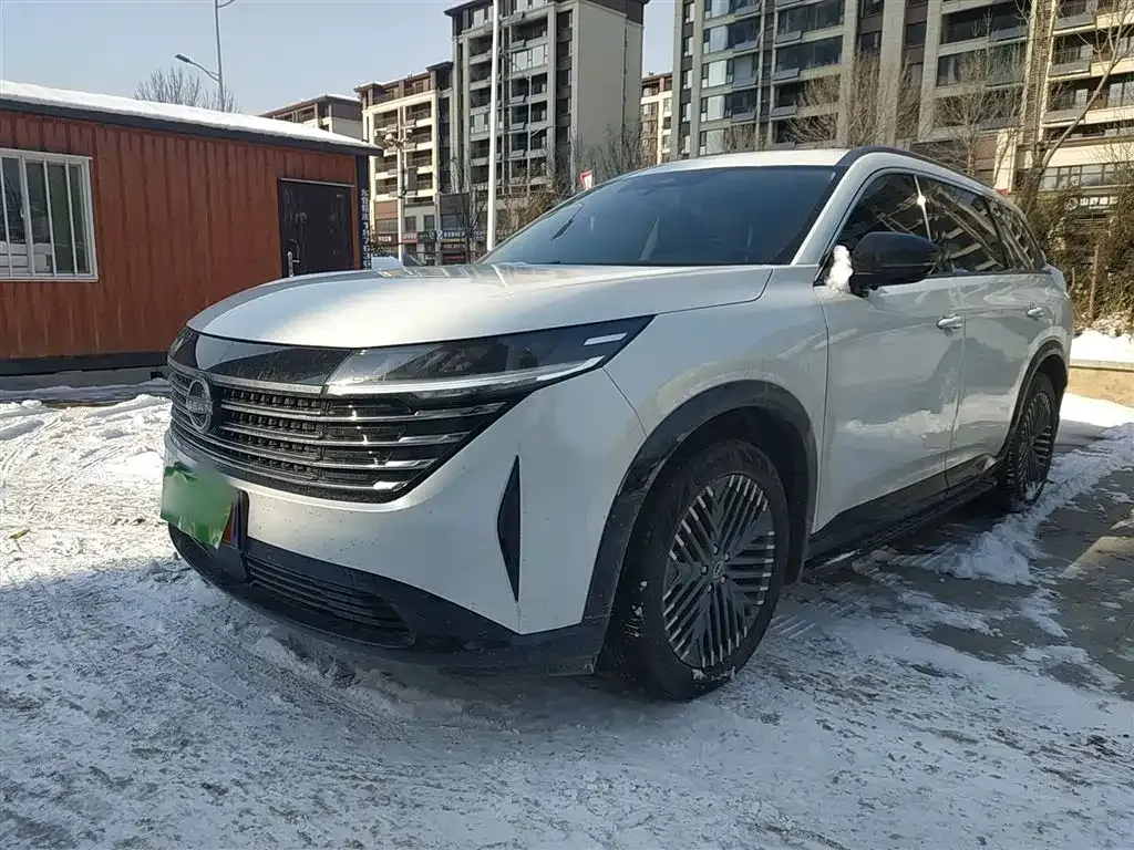 Nissan Teramont 2024 из CN, фото 8