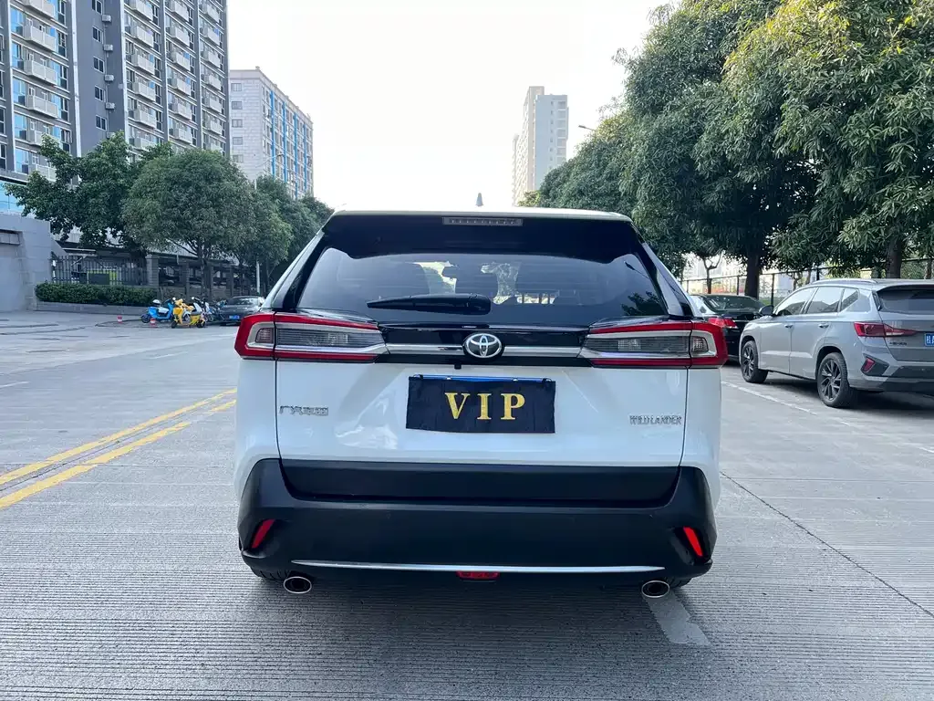 Toyota Wildlander 2022 из CN, фото 4